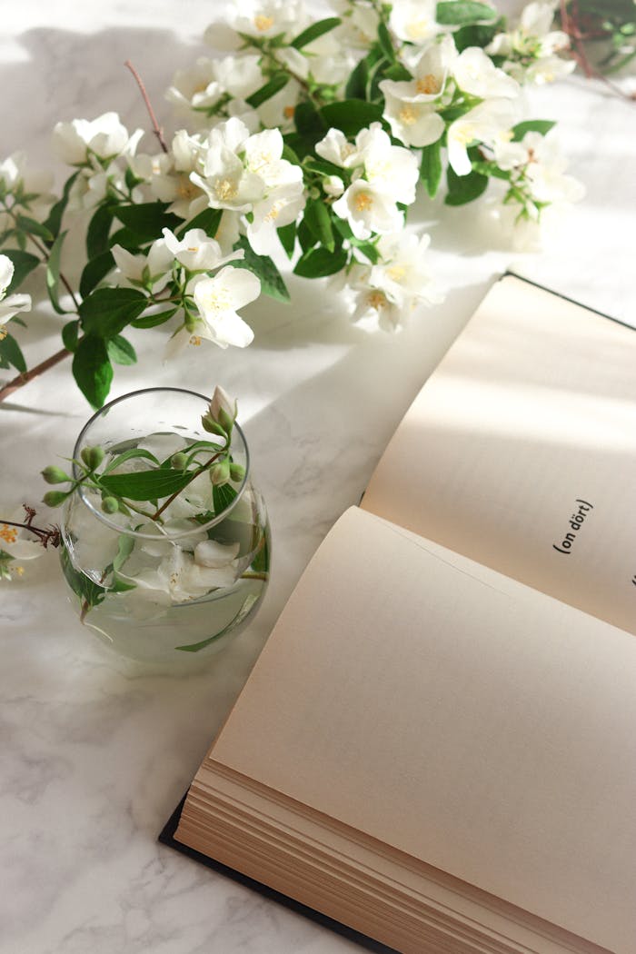 Open book on marble with a glass of water, surrounded by jasmine flowers. Perfect for tranquility and relaxation themes.